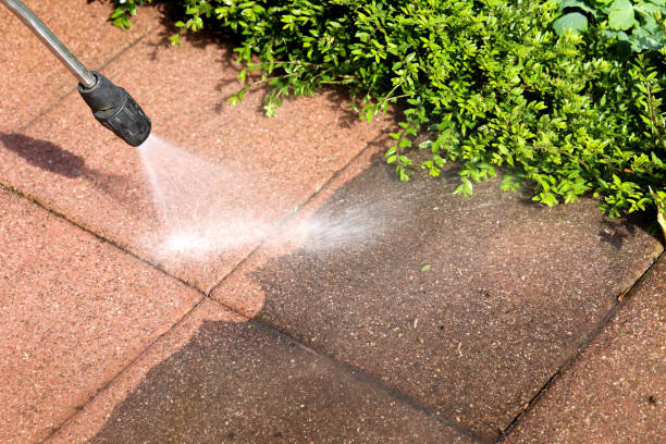 Best Residential Pressure Washing Services  in Elizabethton, TN